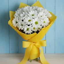 Букет цветов из:  Хризантемы в Борисоглебске