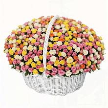 Премиум букет из: Розы в Борисоглебске