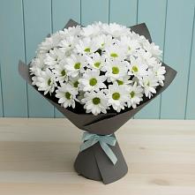 Букет цветов из:  Хризантемы в Борисоглебске