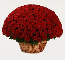 Премиум букет из: Розы в Борисоглебске