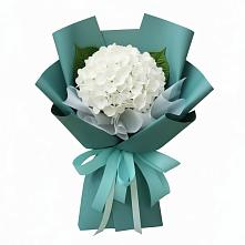 Букет цветов из:  Гортензия #REPLACE_PRED# Борисоглебске